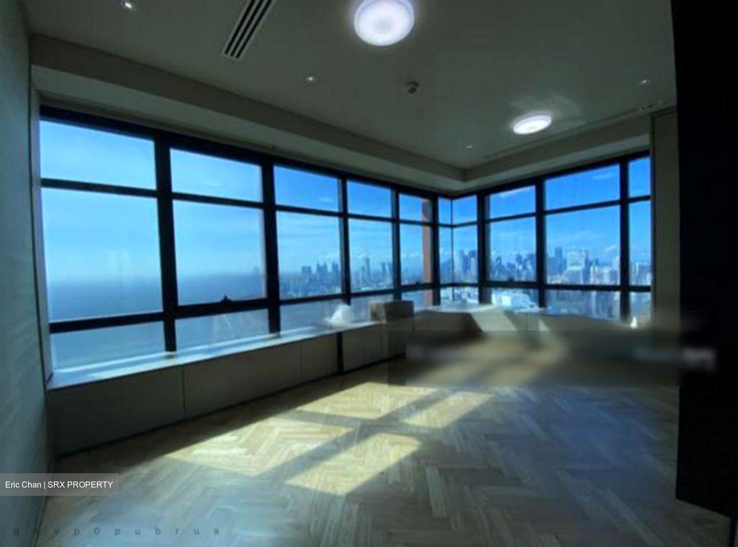The Ritz-Carlton  (D9), Condominium #455333341